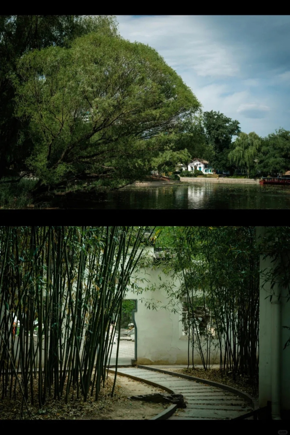 竹院消夏:中国文人的清凉美学 竹院消夏:中国文人的清凉美学
