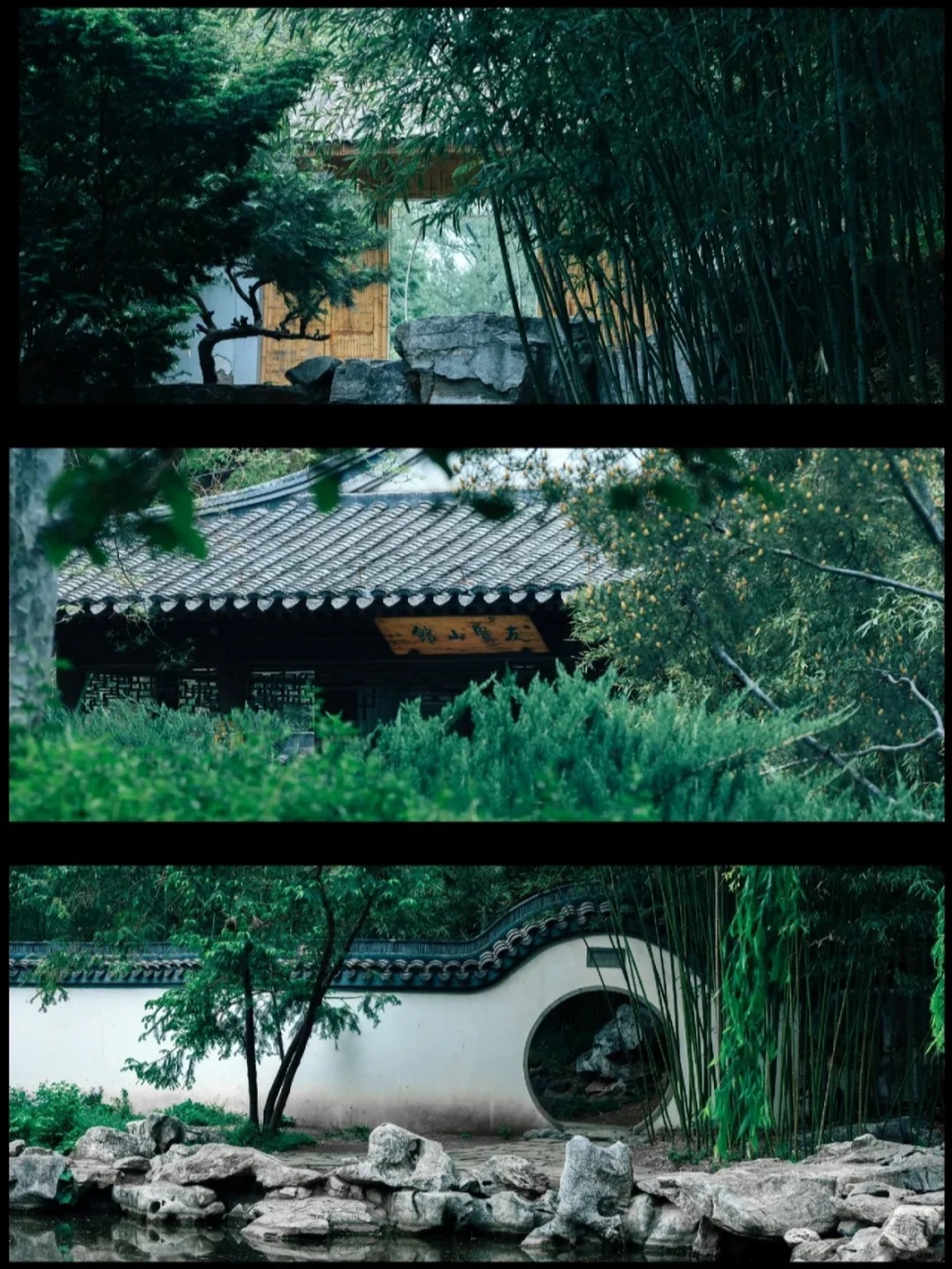 竹院消夏:中国文人的清凉美学 竹院消夏:中国文人的清凉美学