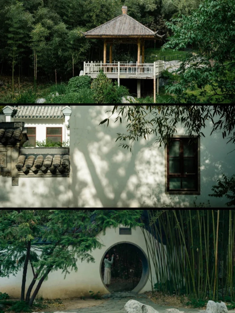竹院消夏:中国文人的清凉美学 竹院消夏:中国文人的清凉美学