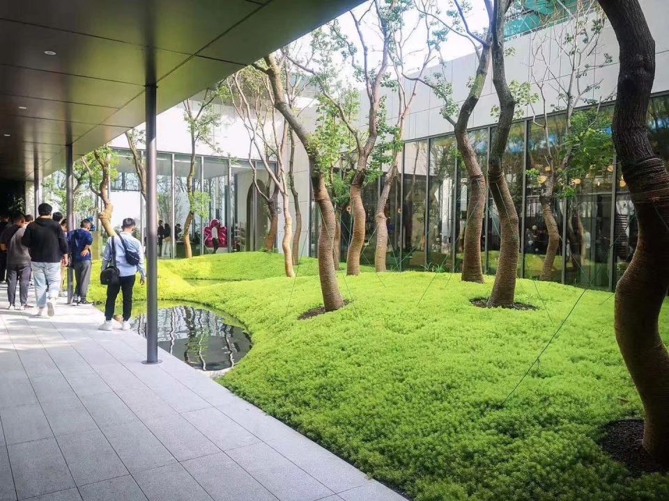 【景立方绿皮书】第十期|玩转竖向高差场地里的那些植物【下篇】 【景立方绿皮书】第十期|玩转竖向高差场地里的那些植物【下篇】