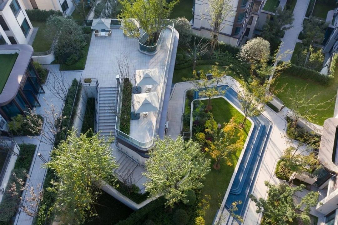 【景立方绿皮书】第九期|玩转竖向高差场地里的那些植物【中篇】 【景立方绿皮书】第九期|玩转竖向高差场地里的那些植物【中篇】