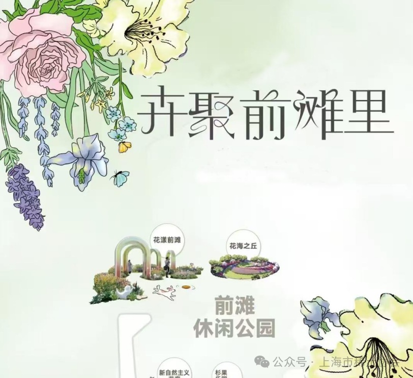 协会联合支部党员热情参与党建工作站“citywalk”活动 协会联合支部党员热情参与党建工作站“citywalk”活动