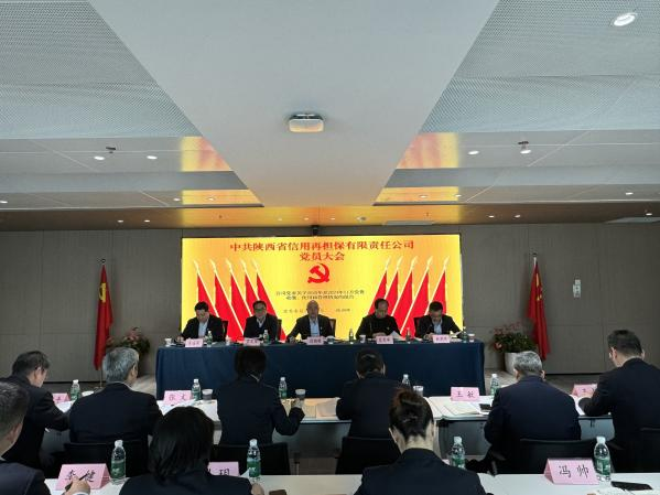 陕西省信用再担保有限责任公司召开党员大会圆满完成公司党委、纪委换届工作