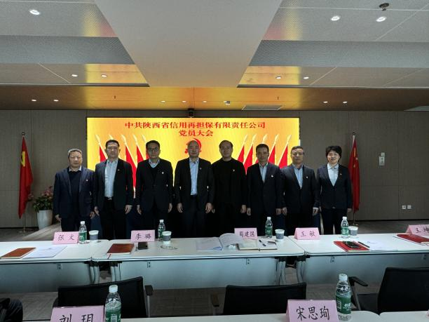 陕西省信用再担保有限责任公司召开党员大会圆满完成公司党委、纪委换届工作