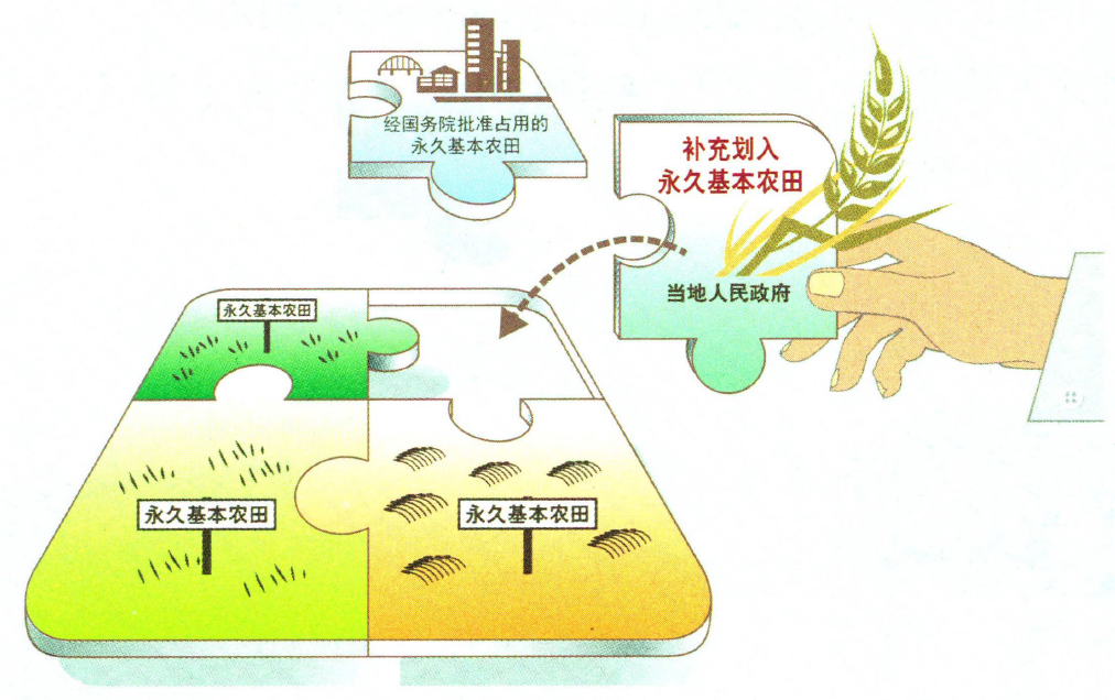 占用永久基本农田的应该怎样补划? 占用永久基本农田的应该怎样补划?