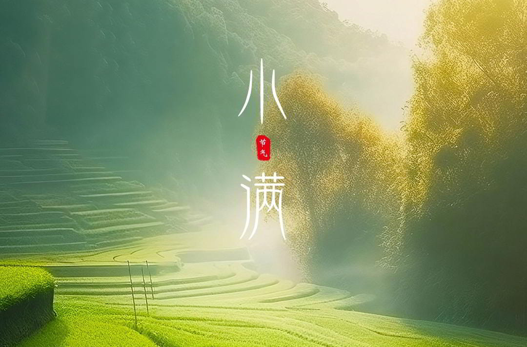 今日小满 | 人间不问圆满 小满便是万全 今日小满 | 人间不问圆满 小满便是万全