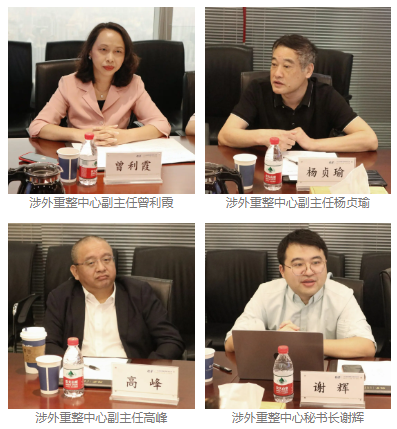 广州市破产管理人协会涉外重整中心成功召开第一次会议（附中心组织架构）