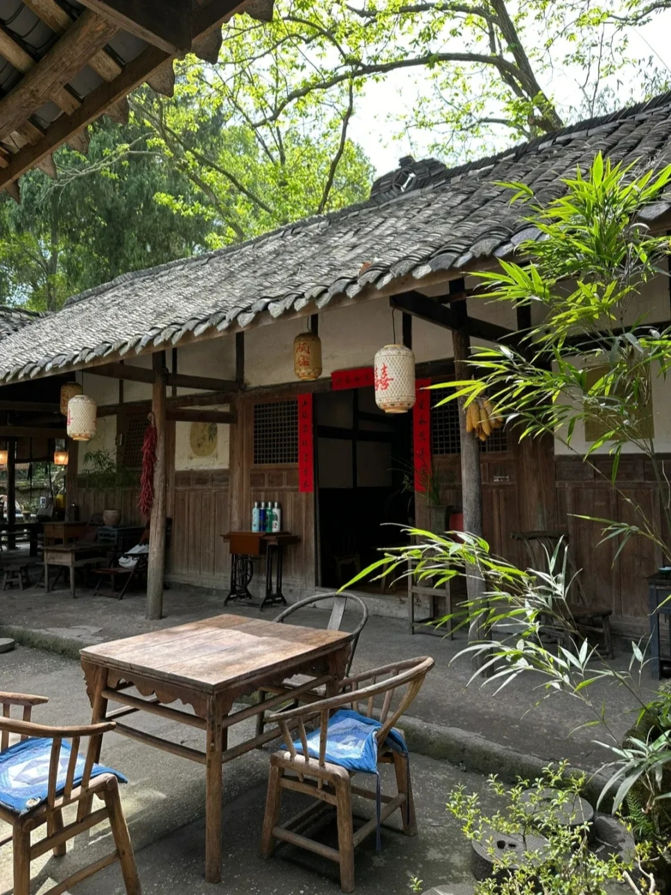 有个小院,读书、喝茶、闻花香 有个小院,读书、喝茶、闻花香