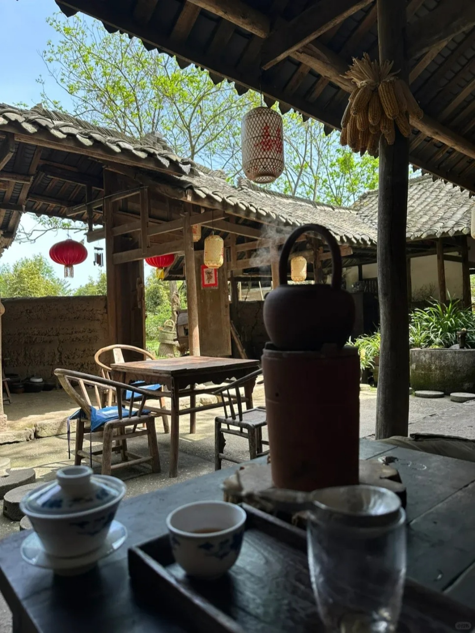 有个小院,读书、喝茶、闻花香 有个小院,读书、喝茶、闻花香