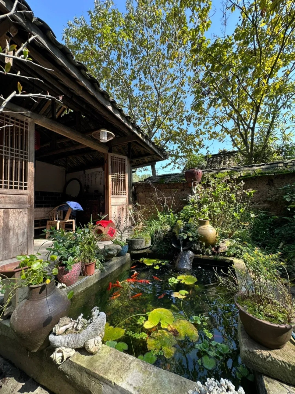 有个小院,读书、喝茶、闻花香 有个小院,读书、喝茶、闻花香