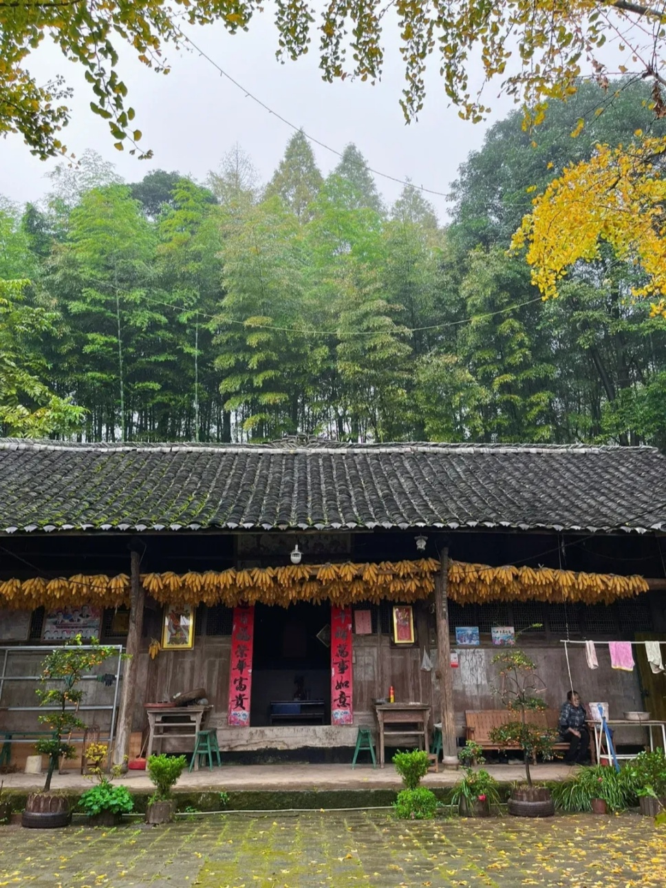 有个小院,读书、喝茶、闻花香 有个小院,读书、喝茶、闻花香
