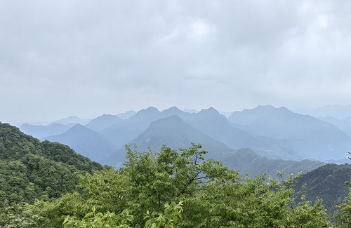 攀登青城之巅 圆梦多年遂愿