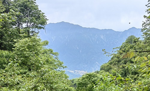 攀登青城之巅 圆梦多年遂愿