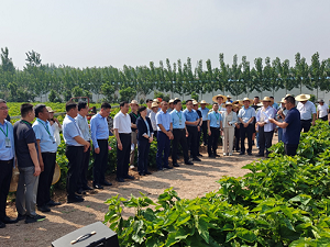 蚕桑生产管理机械化技术与装备应用示范现场会成功举办 蚕桑生产管理机械化技术与装备应用示范现场会成功举办