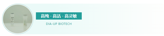 内因子IF——高难度试剂VB12开发关键原料