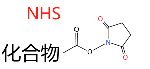 核酸小分子偶联服务 核酸小分子偶联服务