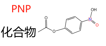 核酸小分子偶联服务 核酸小分子偶联服务