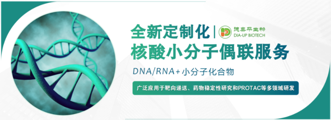 核酸小分子偶联服务
