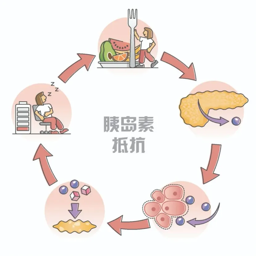 大众科普|糖尿病告别终身服药！ 用“2T疗法”唤醒胰岛细胞，血糖稳稳降下来！