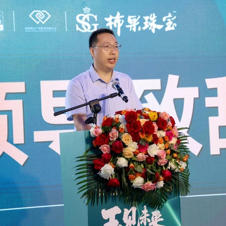 从矿山到市场:深珠宝非洲翠专业市场启幕,水贝开启玉石产业数智化革新 从矿山到市场:深珠宝非洲翠专业市场启幕,水贝开启玉石产业数智化革新
