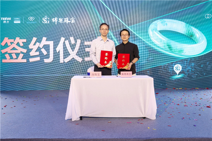 从矿山到市场:深珠宝非洲翠专业市场启幕,水贝开启玉石产业数智化革新 从矿山到市场:深珠宝非洲翠专业市场启幕,水贝开启玉石产业数智化革新