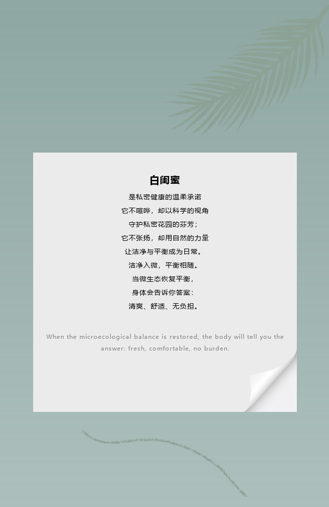 白闺蜜 | 净在平衡