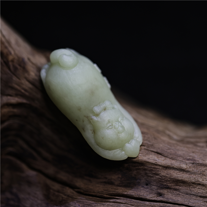 深圳玉雕艺术创意研讨会成功举办 多元创意碰撞激发行业新活力 深圳玉雕艺术创意研讨会成功举办 多元创意碰撞激发行业新活力