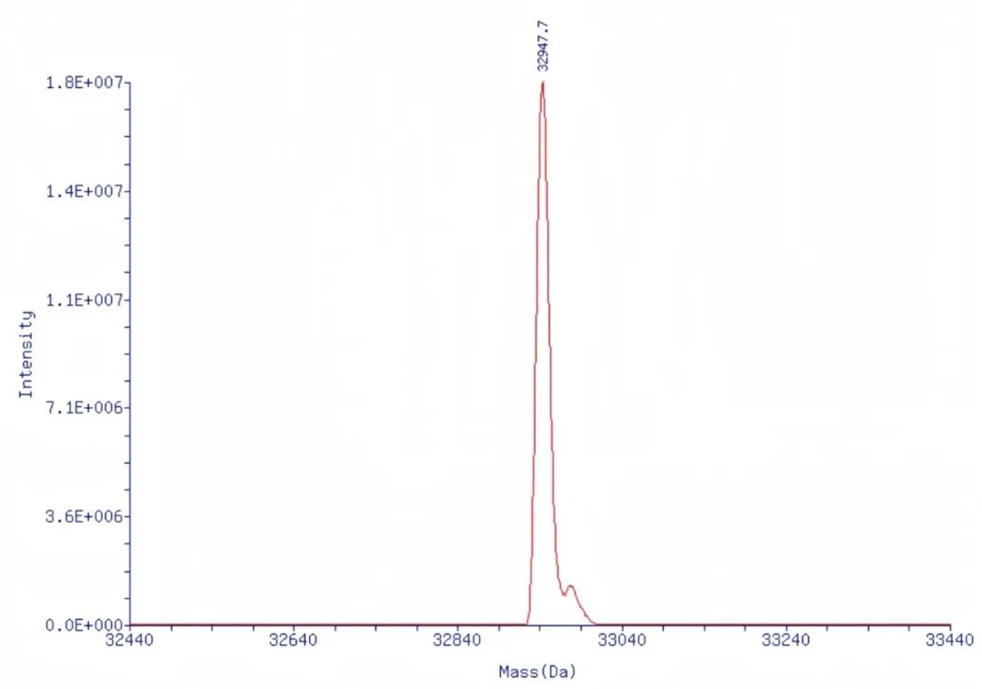 Custom Chemical Synthesis of sgRNA