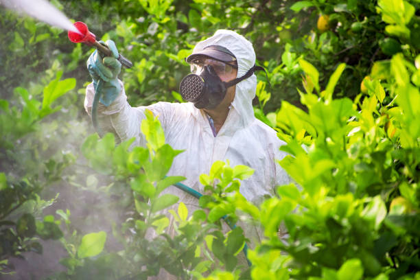 Ammonium Persulfate: A Highly Efficient Oxidizer for Pesticide Intermediates Ammonium Persulfate: A Highly Efficient Oxidizer for Pesticide Intermediates