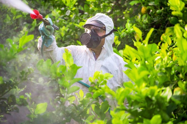 ​Ammonium Persulfate: A Highly Efficient Oxidizer for Pesticide Intermediates