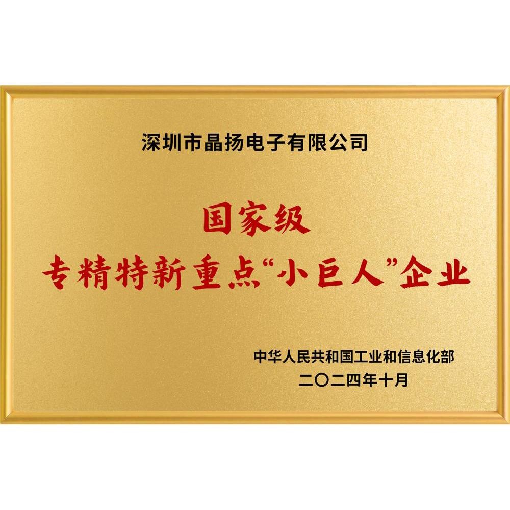 重点小巨人