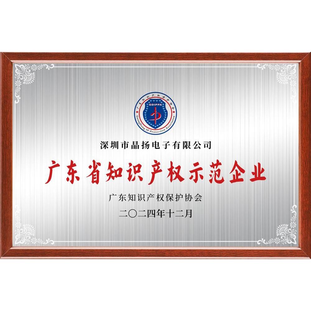 广东省知识产权