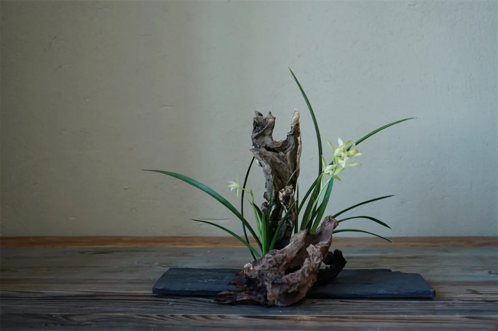 端午节,用《楚辞》中的香草插花,再现穿越千年的花影 端午节,用《楚辞》中的香草插花,再现穿越千年的花影