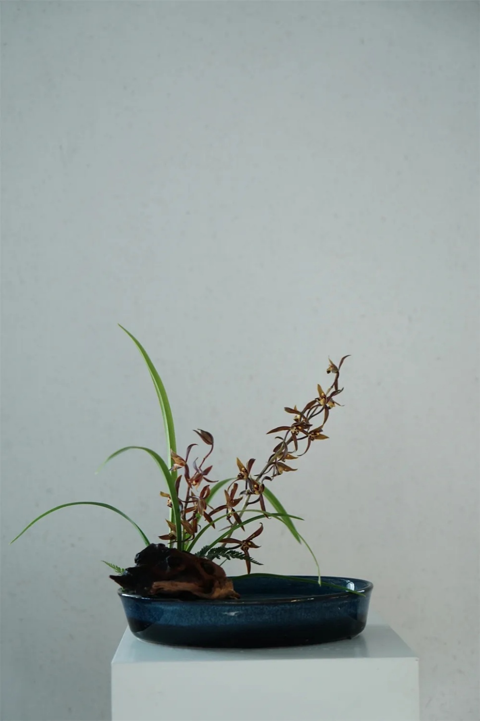 端午节,用《楚辞》中的香草插花,再现穿越千年的花影 端午节,用《楚辞》中的香草插花,再现穿越千年的花影