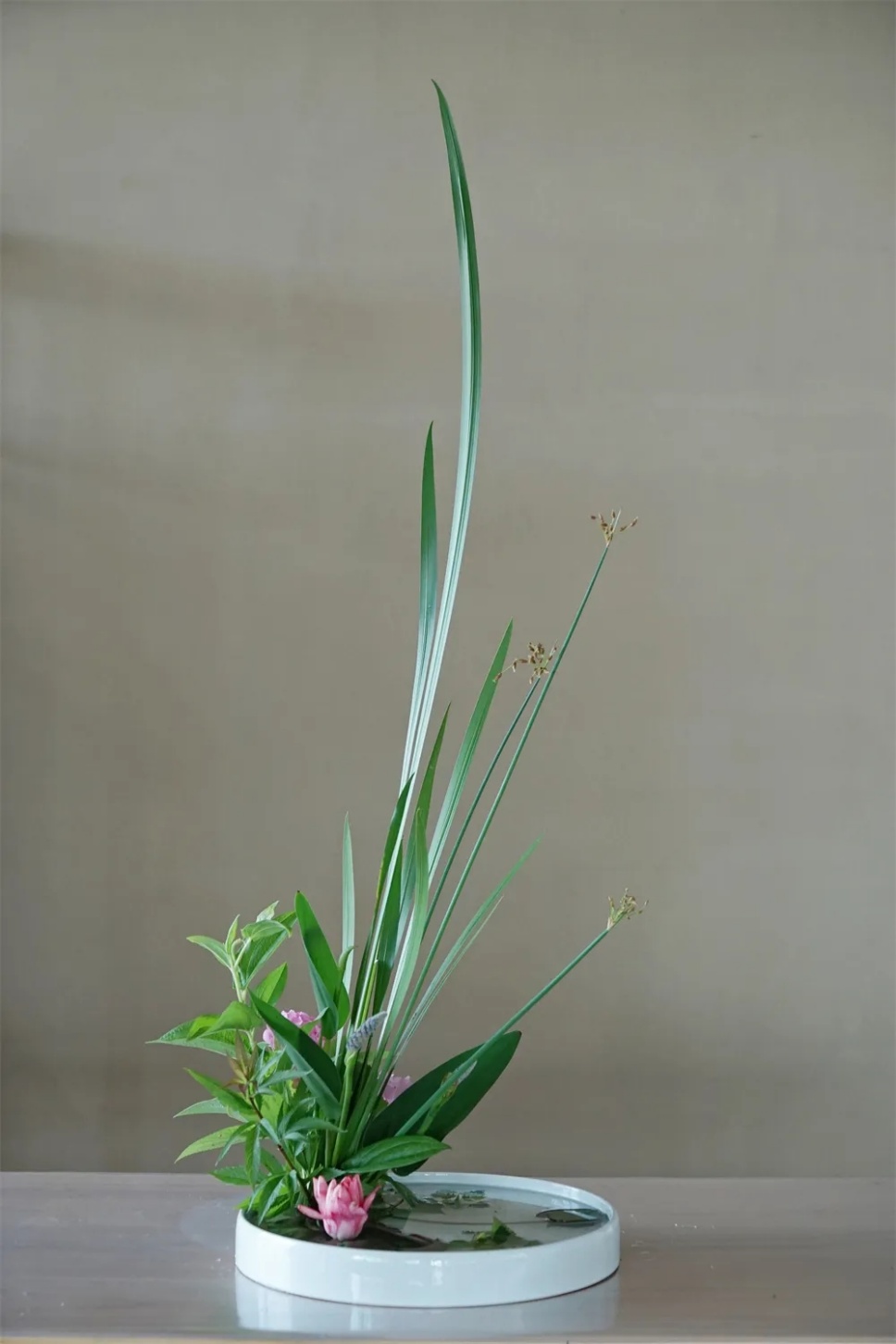 端午节,用《楚辞》中的香草插花,再现穿越千年的花影 端午节,用《楚辞》中的香草插花,再现穿越千年的花影