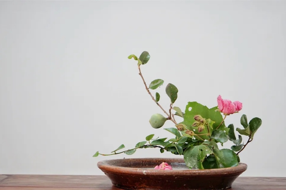端午节,用《楚辞》中的香草插花,再现穿越千年的花影 端午节,用《楚辞》中的香草插花,再现穿越千年的花影
