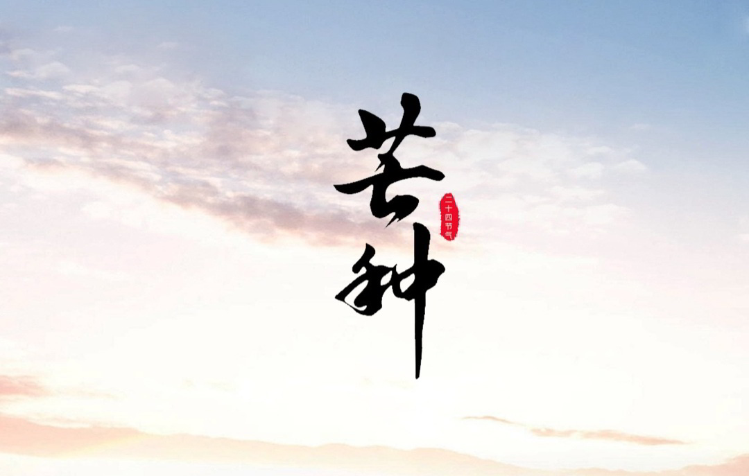 芒种至 万物忙 | 芒于播种 自有收获