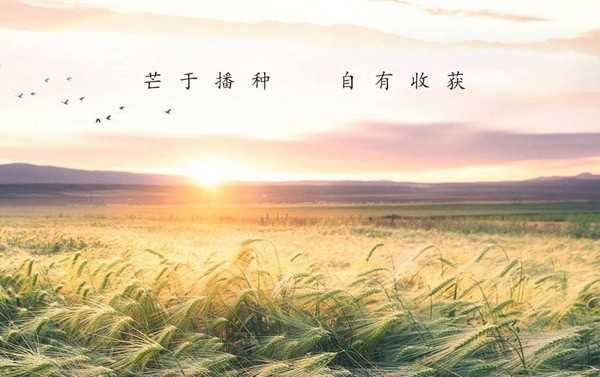 芒种至 万物忙 | 芒于播种 自有收获
