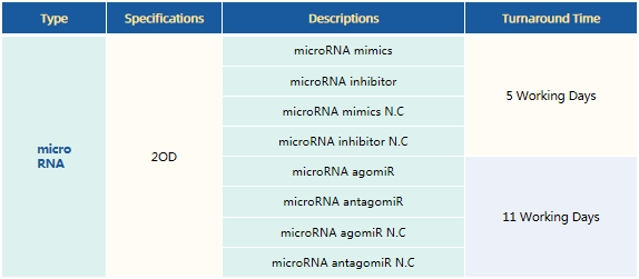 RNA Intelligent Design and Synthesis Services RNA Intelligent Design and Synthesis Services