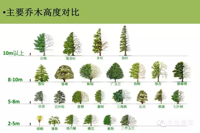 植物配置秘籍!植物设计还是“团”起来比较好!多图详解 植物配置秘籍!植物设计还是“团”起来比较好!多图详解