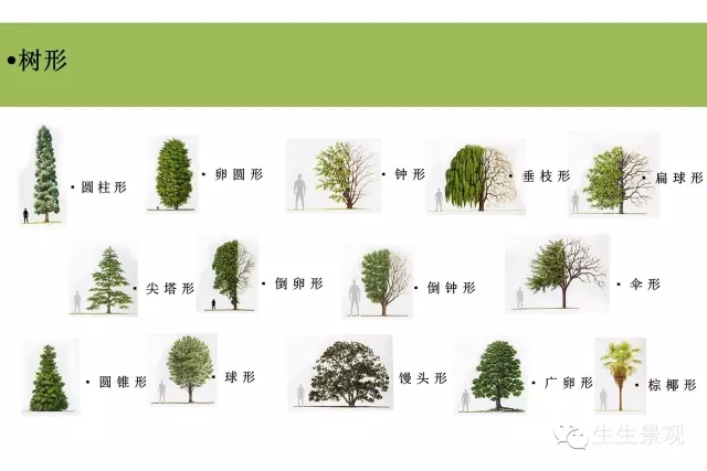 植物配置秘籍!植物设计还是“团”起来比较好!多图详解 植物配置秘籍!植物设计还是“团”起来比较好!多图详解