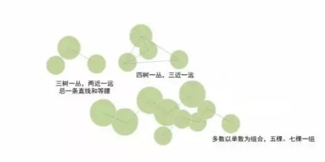 植物配置秘籍!植物设计还是“团”起来比较好!多图详解 植物配置秘籍!植物设计还是“团”起来比较好!多图详解