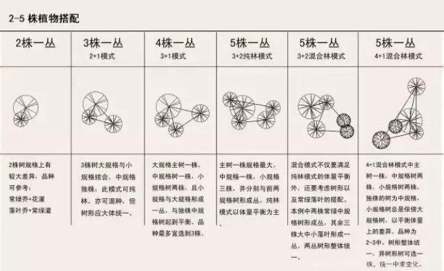 植物配置秘籍!植物设计还是“团”起来比较好!多图详解 植物配置秘籍!植物设计还是“团”起来比较好!多图详解