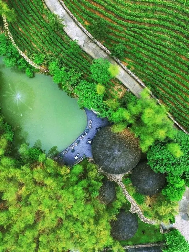 植物配置秘籍!植物设计还是“团”起来比较好!多图详解 植物配置秘籍!植物设计还是“团”起来比较好!多图详解