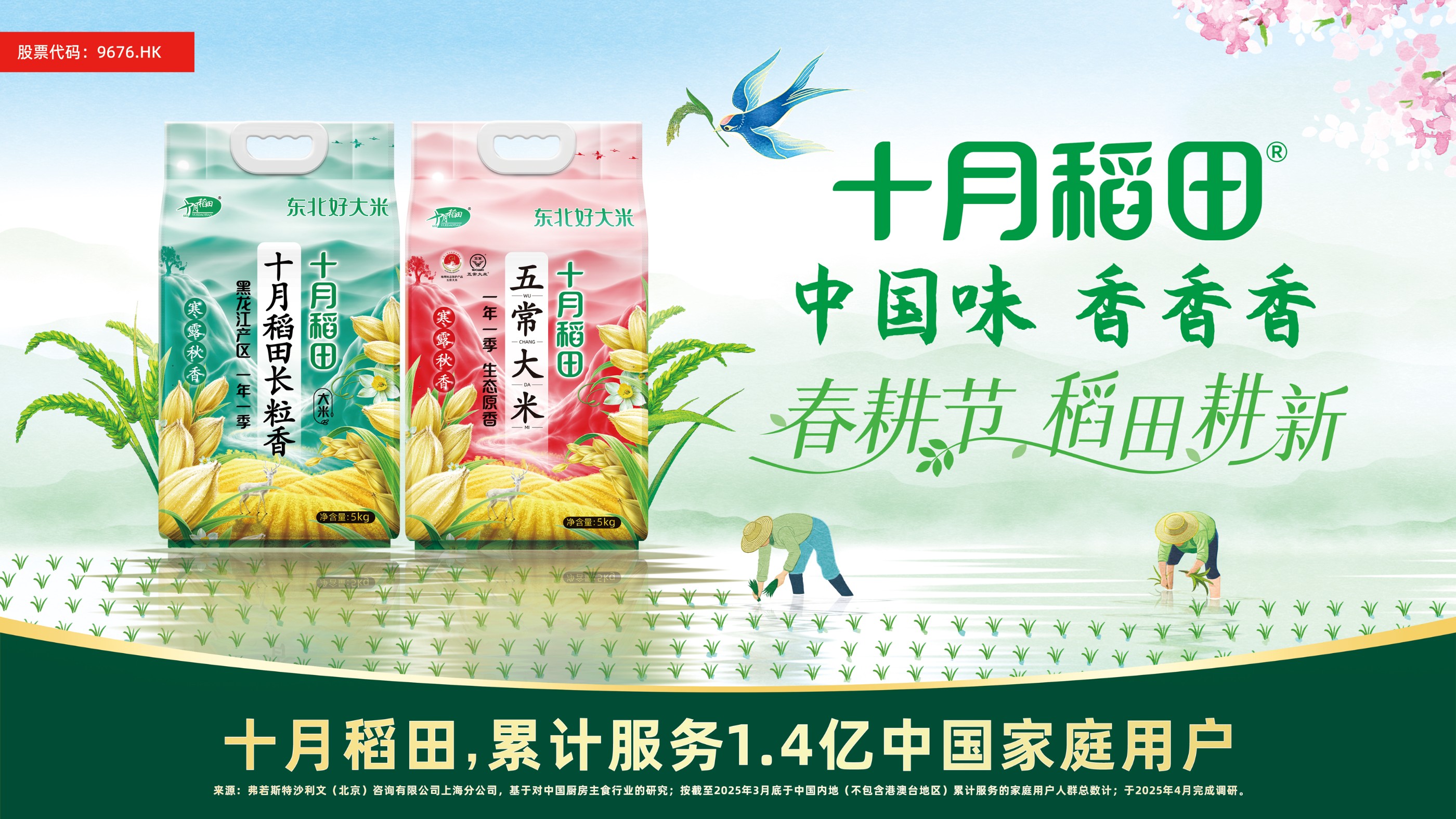 十月稻田插秧节寻味东北，守护中国家庭用户健康餐桌