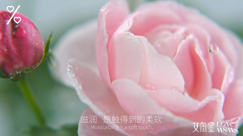 粉闺蜜 | 自然润养，重焕内在自愈力！