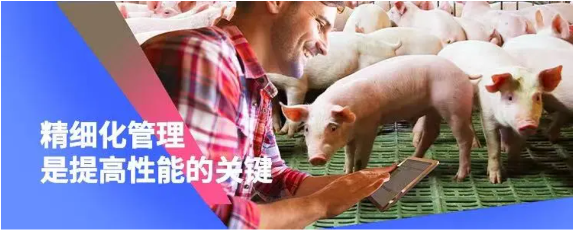 爱思农与四川万家好、广东食出宝金、上海中新、河南丰园等企业达成重要合作 爱思农与四川万家好、广东食出宝金、上海中新、河南丰园等企业达成重要合作