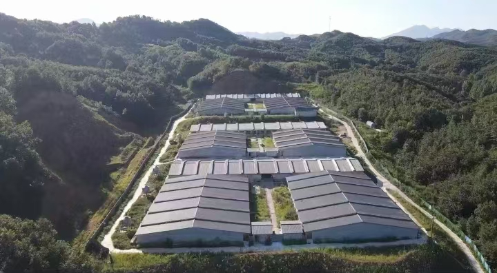 爱思农与四川万家好、广东食出宝金、上海中新、河南丰园等企业达成重要合作 爱思农与四川万家好、广东食出宝金、上海中新、河南丰园等企业达成重要合作