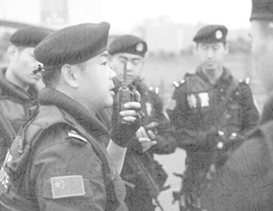 武警应用案例