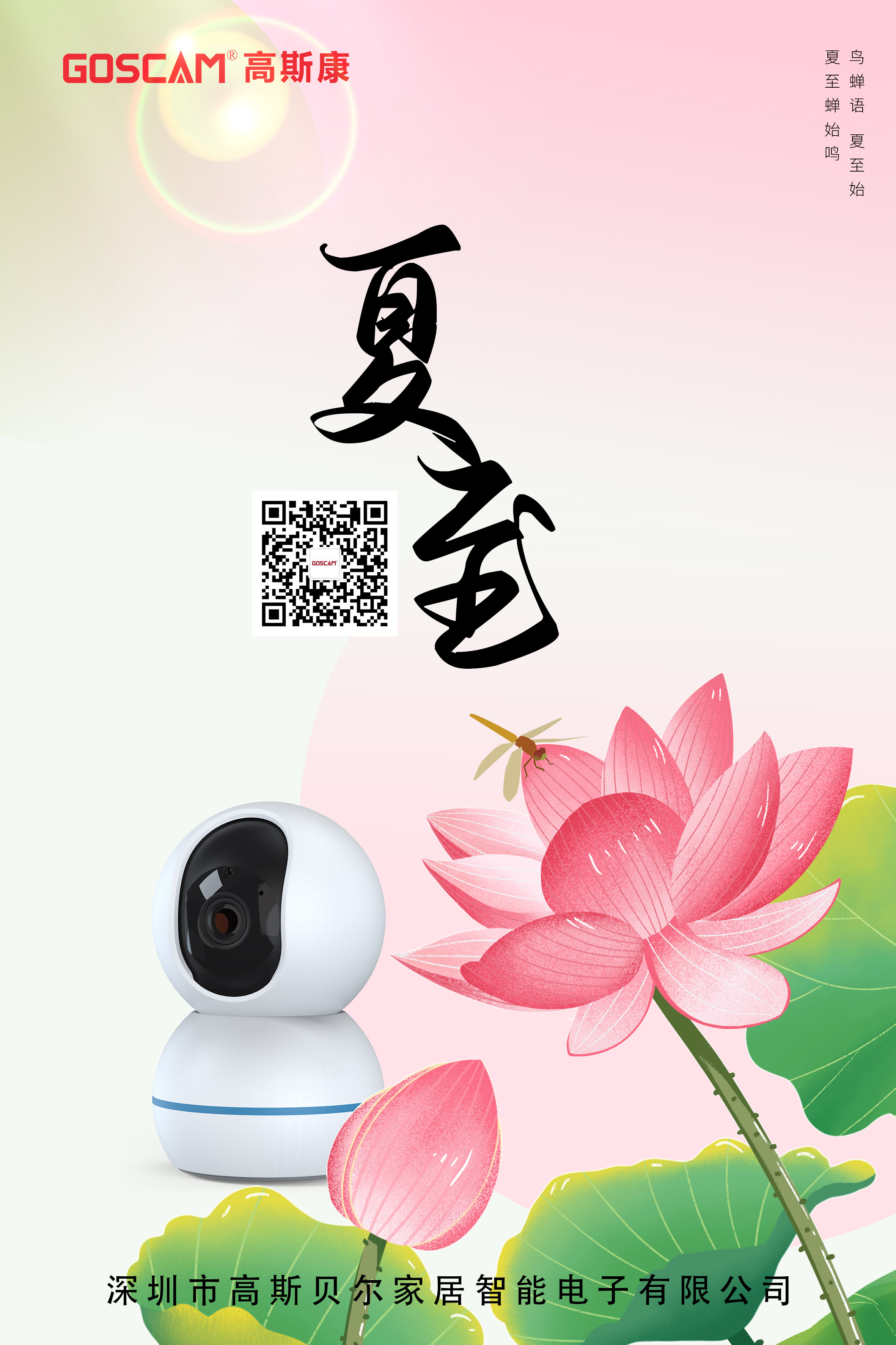 日光慷慨,赠我永昼——夏至 日光慷慨,赠我永昼——夏至